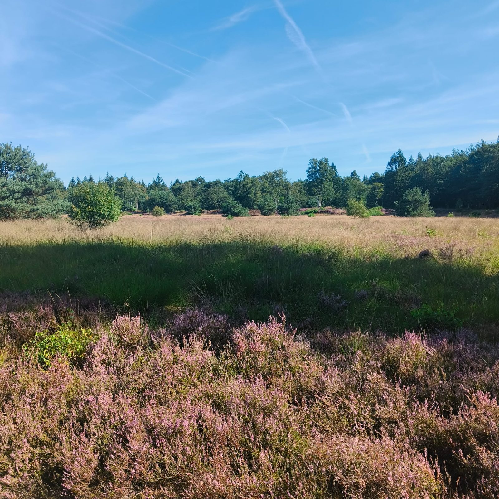 MTB Gieten Gasselte