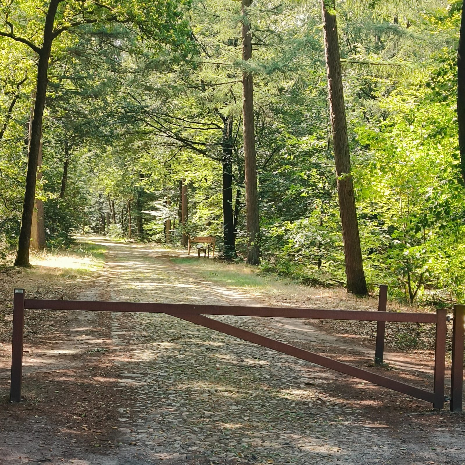 MTB Gieten Gasselte